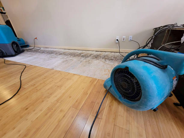 Professional Emergency Water Damage technician working in Brighton, AL